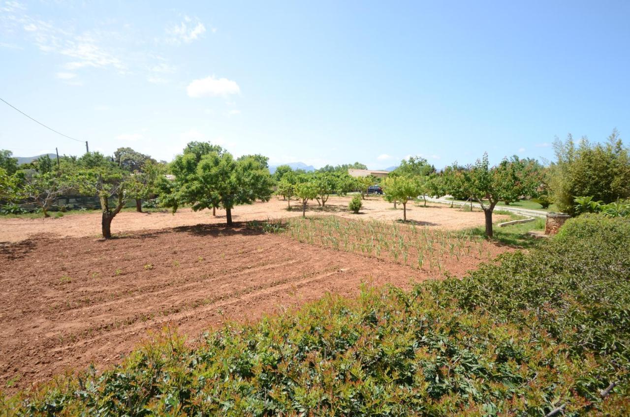 Villa Can Pau, Pool And Garden Close To The Beach Port de Alcudia  Exterior photo
